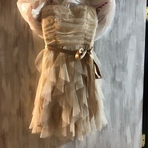 Prom/home coming dress